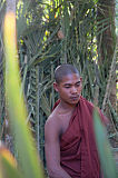 Buddhistischer Mönch MraukU  Myanmar